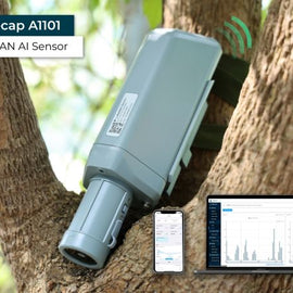 SenseCAP A1101 LoRaWAN Vision AI Sensor